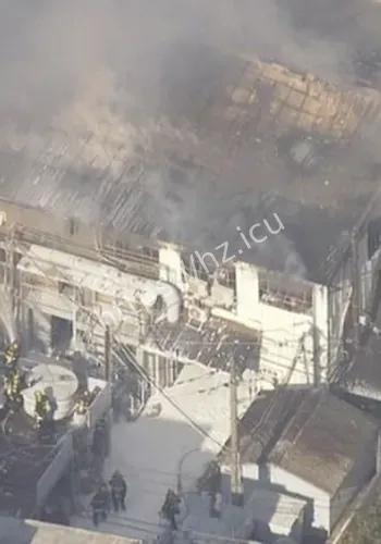 中新网 4月28日电背景