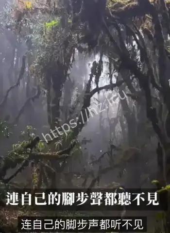 哀牢山36人神秘死亡