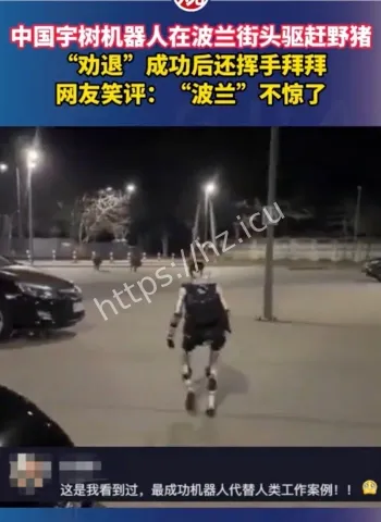 中国人形机器人