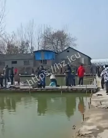 钓鱼佬卷出新高度