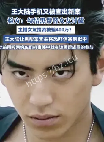 王大陆个资法判刑结果