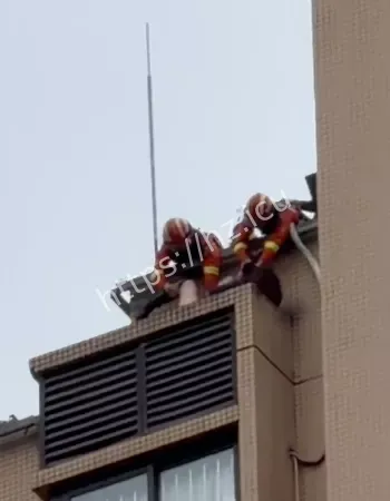 惊险营救视频全网流传