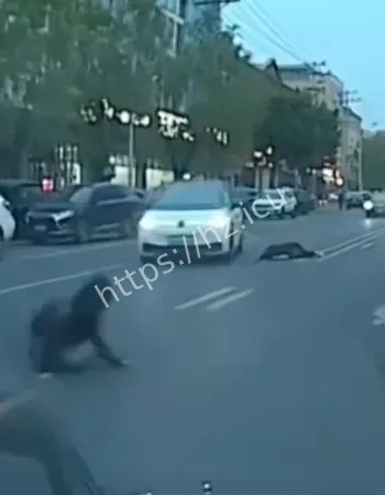 车祸竟是蓄意谋杀