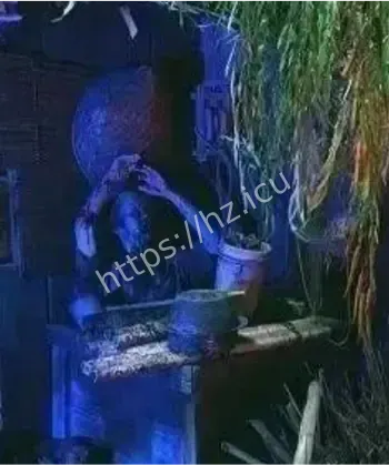 富士急乐园猎奇试胆秘境