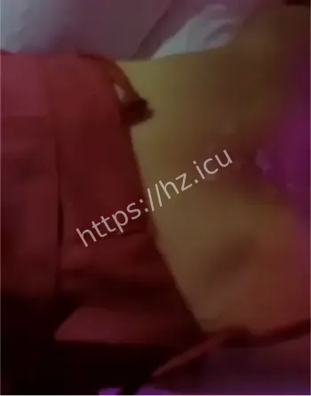 王华宁夏大学新华学院视频