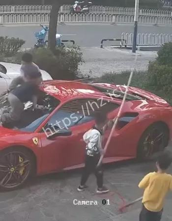 被熊孩子当滑梯玩