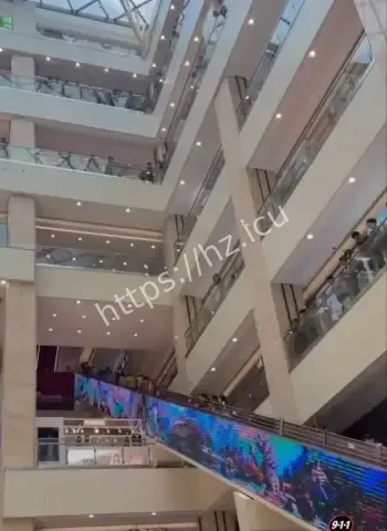 被一千万巨额罚款逼跳楼