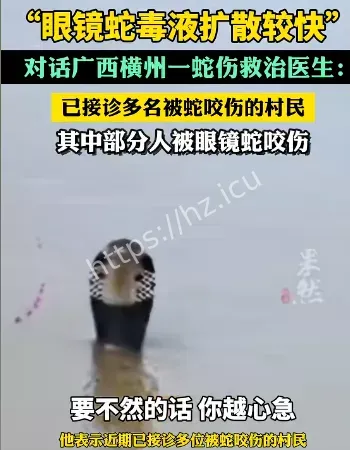 记者三次看到蛇