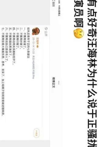 知名电视剧导演