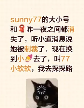 Sunny77