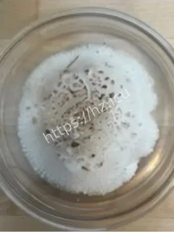 户外进山观赏菌类安全提示